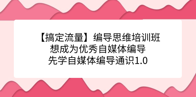 （7281期）【搞定流量】编导思维培训班，想成为优秀自媒体编导先学自媒体编导通识1.0-iTZL项目网