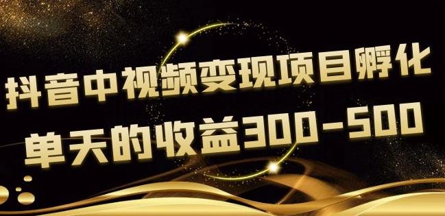 黄岛主抖音中视频变现项目孵化，单天的收益300-500操作简单粗暴-iTZL项目网