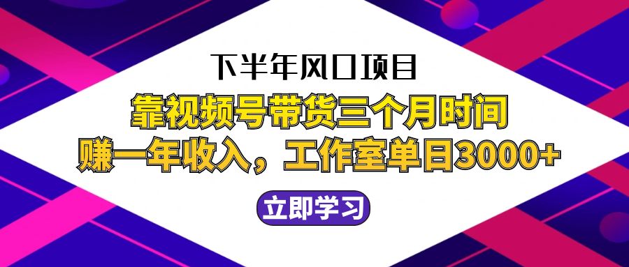 （12849期）下半年风口项目，靠视频号带货三个月时间赚一年收入，工作室实测单日3…-iTZL项目网