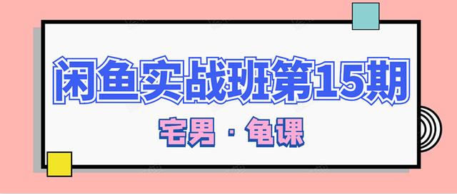 龟课·闲鱼无货源电商课程第15期，一个月收益几万不等【33节视频-无水印】-iTZL项目网