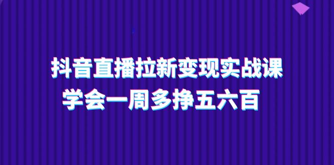 （11254期）抖音直播拉新变现实操课，学会一周多挣五六百（15节课）-iTZL项目网