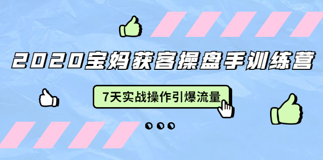 （1542期）2020宝妈获客操盘手训练营：7天实战操作引爆 母婴、都市、购物宝妈流量-iTZL项目网