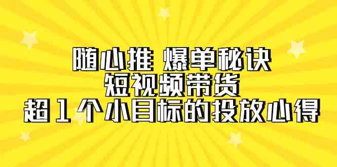 （9687期）随心推 爆单秘诀，短视频带货-超1个小目标的投放心得（7节视频课）-iTZL项目网