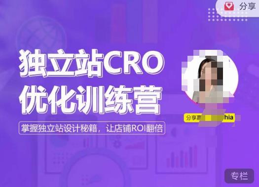 独立站CRO优化训练营，掌握独立站设计秘籍，打造高转化的独立站，让店铺ROI翻倍-iTZL项目网