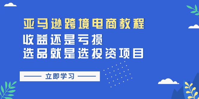 （11432期）亚马逊跨境电商教程：收益还是亏损！选品就是选投资项目-iTZL项目网