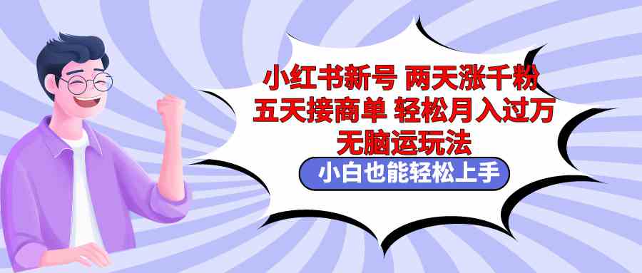 （9239期）小红书新号两天涨千粉五天接商单轻松月入过万 无脑搬运玩法 小白也能轻…-iTZL项目网