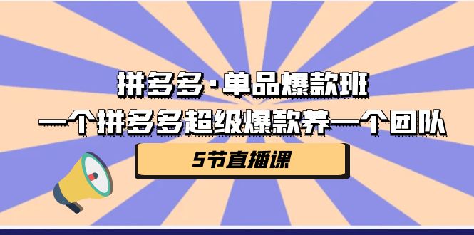 （7019期）拼多多·单品爆款班，一个拼多多超级爆款养一个团队（5节直播课）-iTZL项目网