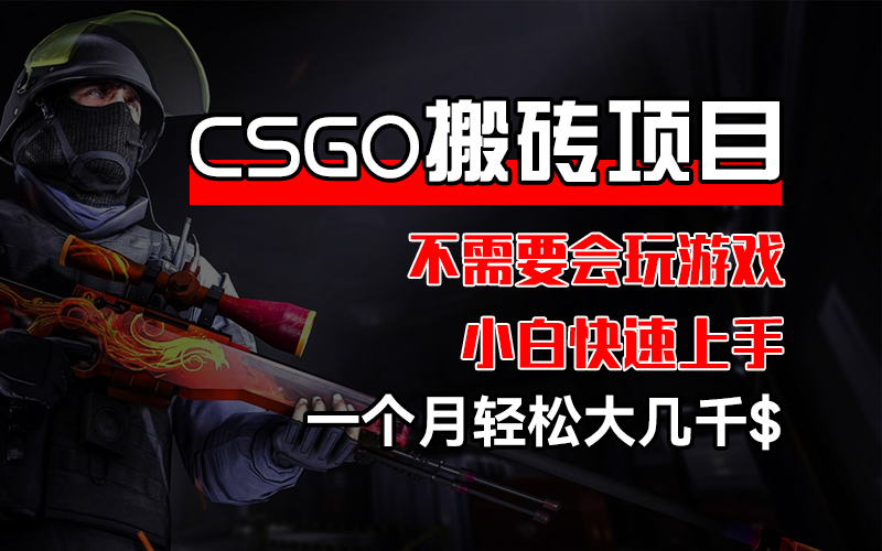 （12332期）CSGO 装备搬砖项目，操作简单，不需要会玩游戏，小白也能快速上手，一…-iTZL项目网