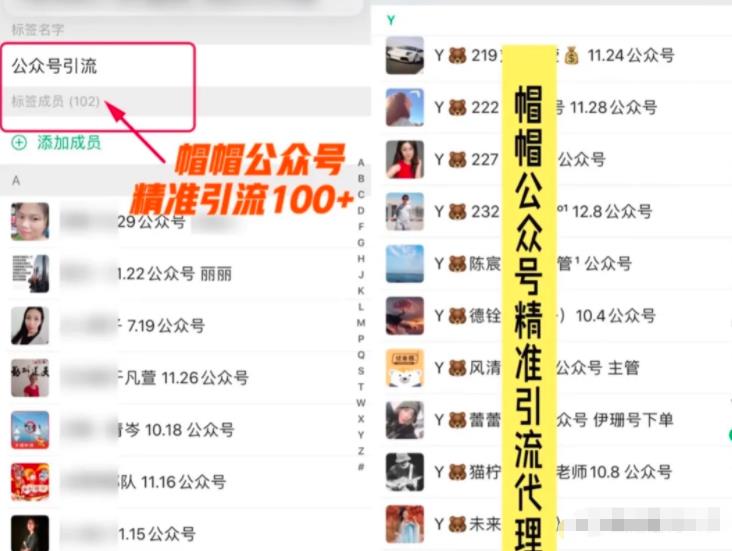 7天玩转微信公众号被动引流系统，日引100+精准流量【视频课程】-iTZL项目网