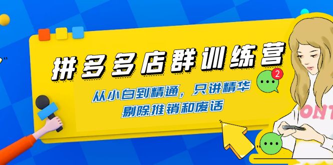 （4318期）拼多多店群训练营：从小白到精通，只讲精华，剔除推销和废话-iTZL项目网