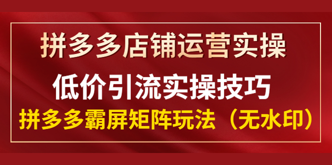 （1342期）拼多多店铺运营实操，低价引流实操技巧，拼多多霸屏矩阵玩法（无水印）-iTZL项目网