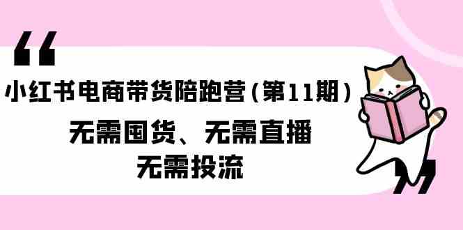 （9996期）小红书电商带货陪跑营(第11期)无需囤货、无需直播、无需投流（送往期10套）-iTZL项目网