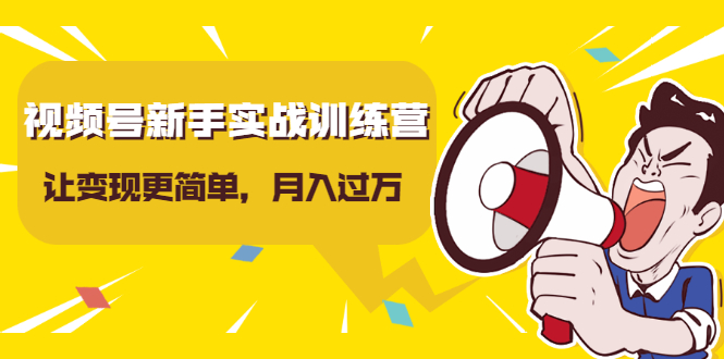 （1627期）视频号新手实战训练营，让变现更简单，玩赚视频号，轻松月入过万-iTZL项目网