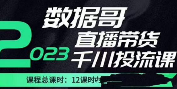 数据哥2023直播电商巨量千川付费投流实操课，快速掌握直播带货运营投放策略-iTZL项目网