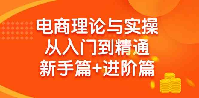 （9576期）电商理论与实操从入门到精通 新手篇+进阶篇-iTZL项目网