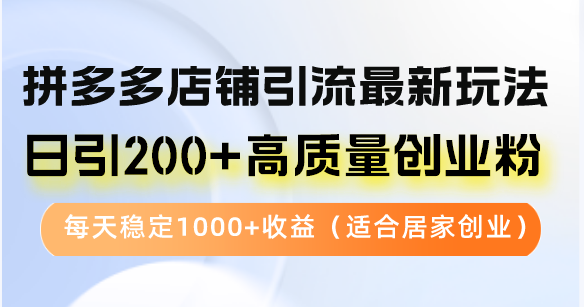 （12893期）拼多多店铺引流最新玩法，日引200+高质量创业粉，每天稳定1000+收益（…-iTZL项目网