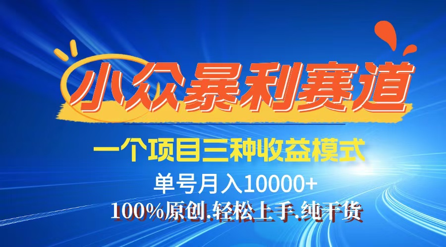 （12579期）【老人言】-视频号爆火赛道，三种变现方式，0粉新号调调爆款-iTZL项目网