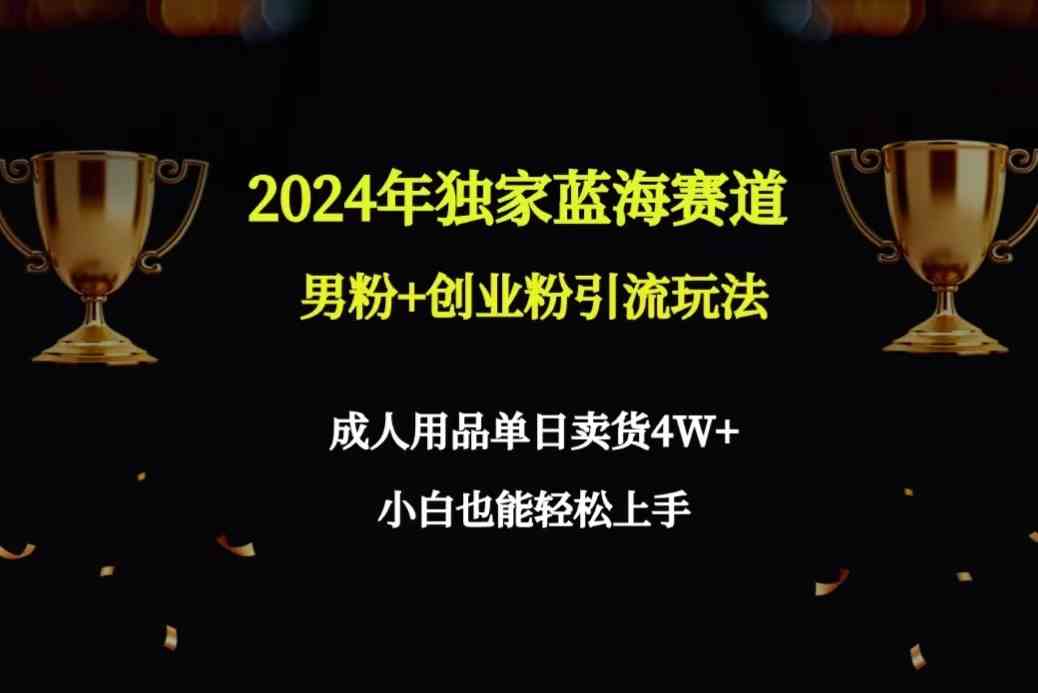 （9111期）2024年独家蓝海赛道男粉+创业粉引流玩法，成人用品单日卖货4W+保姆教程-iTZL项目网