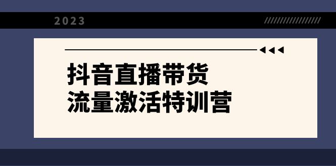 （8185期）抖音直播带货-流量激活特训营，入行新手小白主播必学（21节课+资料）-iTZL项目网