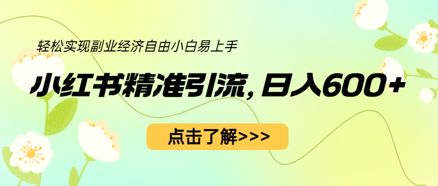 （6515期）小红书精准引流，小白日入600+，轻松实现副业经济自由（教程+1153G资源）-iTZL项目网