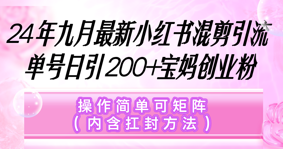 （12530期）小红书混剪引流，单号日引200+宝妈创业粉，操作简单可矩阵（内含扛封…-iTZL项目网