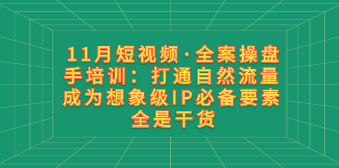 （8182期）11月短视频·全案操盘手培训：打通自然流量 成为想象级IP必备要素 全是干货-iTZL项目网