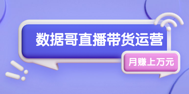 （1761期）数据哥直播带货运营线上进阶课，让普通人也能靠直播月赚上万元-iTZL项目网