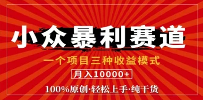 （12756期）视频号最新爆火赛道，三种可收益模式，0粉新号条条原创条条热门 日入1000+-iTZL项目网