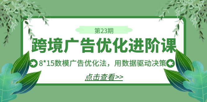 （7131期）跨境广告·优化进阶课·第23期，8*15数模广告优化法，用数据驱动决策-iTZL项目网