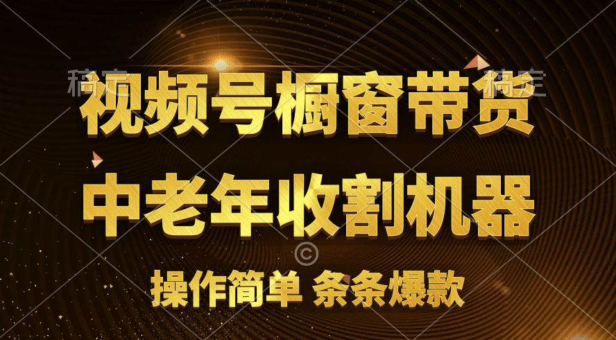 （11009期）[你的孩子成功取得高位]视频号最火爆赛道，橱窗带货，流量分成计划，条…-iTZL项目网