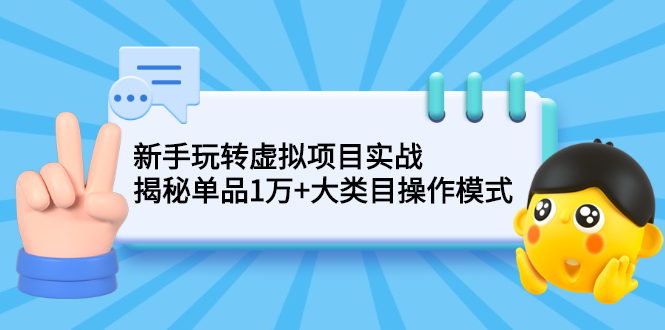 （2144期）新手玩转虚拟项目实战，揭秘单品1万+大类目操作模式【视频课程】-iTZL项目网