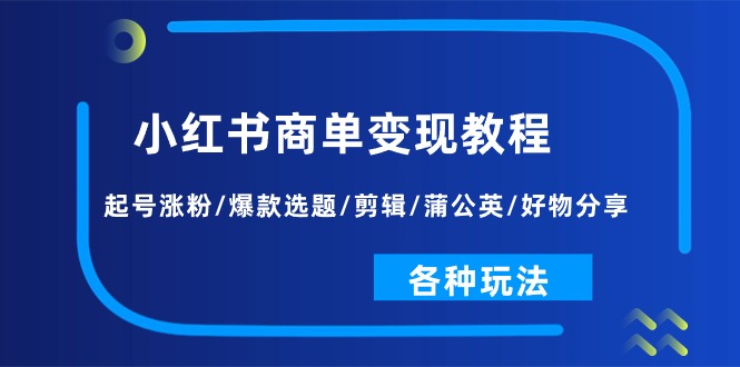 （11164期）小红书商单变现教程：起号涨粉/爆款选题/剪辑/蒲公英/好物分享/各种玩法-iTZL项目网