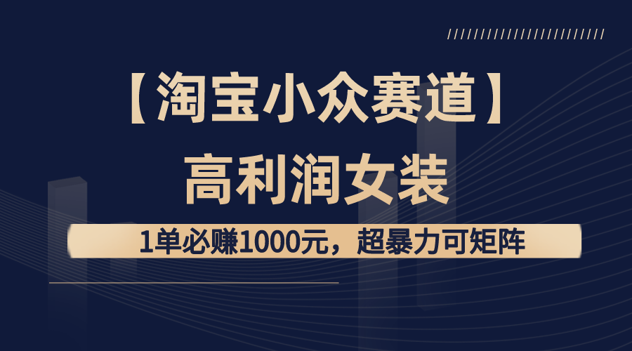 （8608期）【淘宝小众赛道】高利润女装：1单必赚1000元，超暴力可矩阵-iTZL项目网