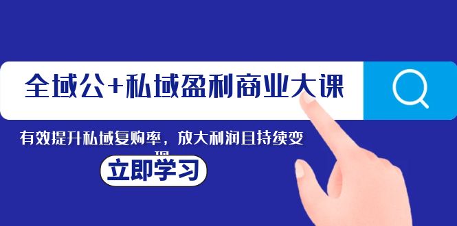 （8045期）全域公+私域盈利商业大课，有效提升私域复购率，放大利润且持续变现-iTZL项目网