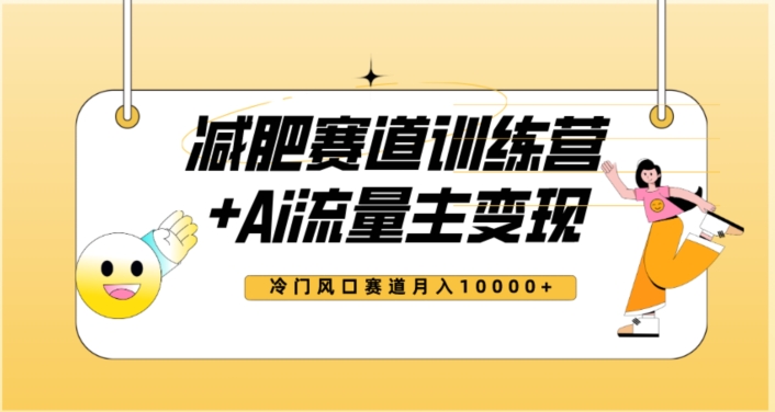 全新减肥赛道AI流量主+训练营变现玩法教程，蓝海冷门赛道小白轻松上手，月入10000+【揭秘】-iTZL项目网