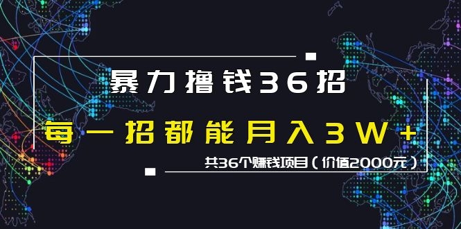 图片[1]-（1149期）暴力撸钱36招，每一招都能月入30000+共36个赚钱项目（价值2000元）-iTZL项目网