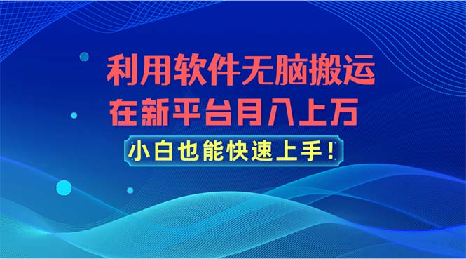 （11078期）利用软件无脑搬运，在新平台月入上万，小白也能快速上手-iTZL项目网