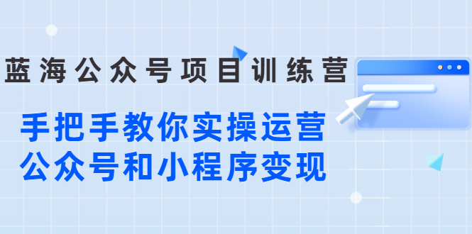 （2633期）蓝海公众号项目训练营，手把手教你实操运营公众号和小程序变现-iTZL项目网