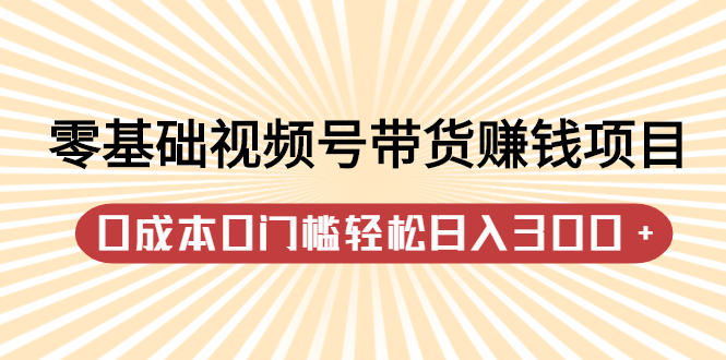 （2414期）零基础视频号带货赚钱项目，0成本0门槛轻松日入300+【视频教程】-iTZL项目网