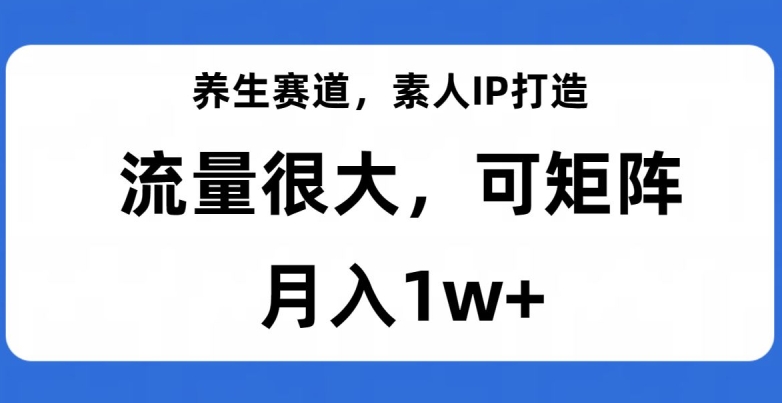 养生赛道，素人IP打造，流量很大，可矩阵，月入1w+【揭秘】-iTZL项目网