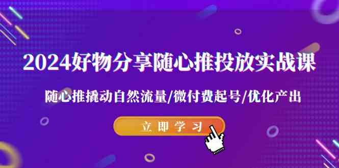 （9030期）2024好物分享-随心推投放实战课 随心推撬动自然流量/微付费起号/优化产出-iTZL项目网