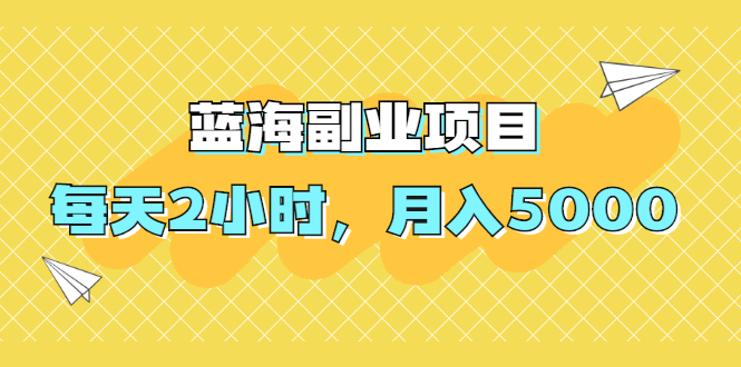 （1953期）蓝海副业项目，每天2小时，月入5000，附详细操作流程-iTZL项目网