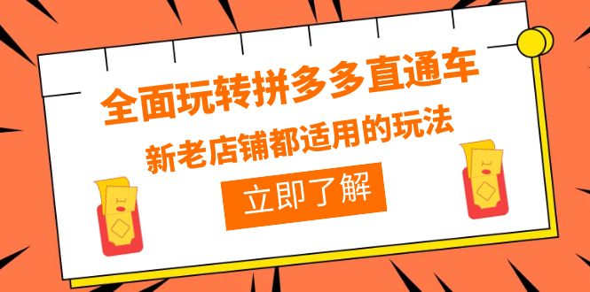 （6294期）全面玩转拼多多直通车，新老店铺都适用的玩法（12节精华课）-iTZL项目网