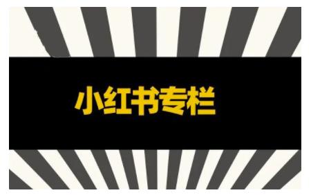 品牌医生·小红书全链营销干货，5个起盘案例，7个内容方向，n条避坑指南-iTZL项目网