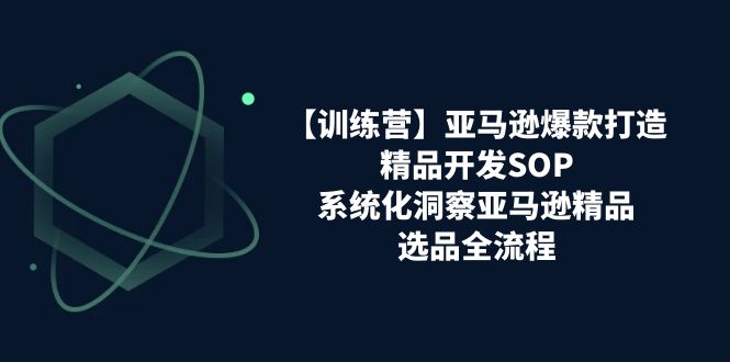 （11210期）【训练营】亚马逊爆款打造之精品开发SOP，系统化洞察亚马逊精品选品全流程-iTZL项目网