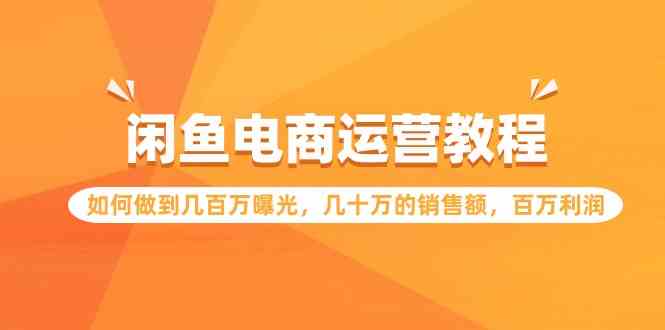 （9560期）闲鱼电商运营教程：如何做到几百万曝光，几十万的销售额，百万利润-iTZL项目网