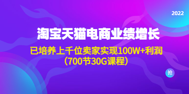 （4409期）淘系天猫电商业绩增长：已培养上千位卖家实现100W+利润（700节30G课程）-iTZL项目网