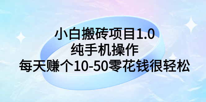 （2740期）小白搬砖项目1.0，纯手机操作，每天赚个10-50零花钱很轻松-iTZL项目网