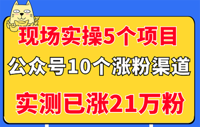 （2947期）现场实操5个公众号项目，10个涨粉渠道，实测已涨21万粉！-iTZL项目网