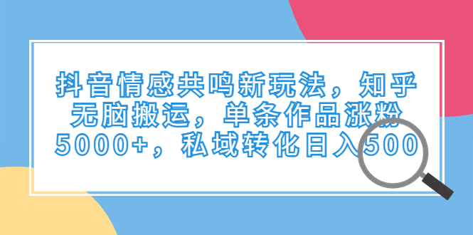 （6758期）抖音情感共鸣新玩法，知乎无脑搬运，单条作品涨粉5000+，私域转化日入500-iTZL项目网